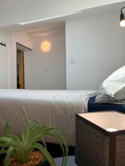 Le Belfort - Grand T2 Climatise En Hyper Centre Toulouse Kültér fotó